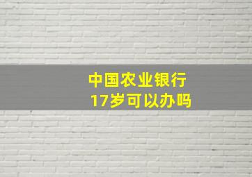 中国农业银行17岁可以办吗