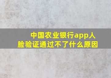 中国农业银行app人脸验证通过不了什么原因