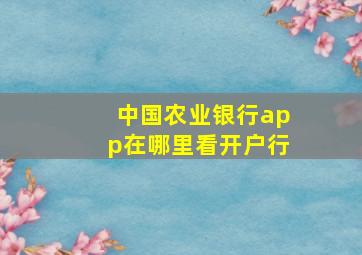 中国农业银行app在哪里看开户行