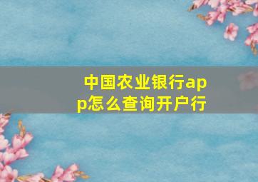 中国农业银行app怎么查询开户行