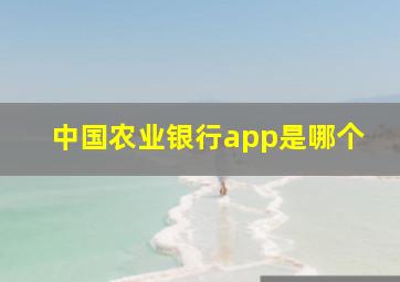 中国农业银行app是哪个