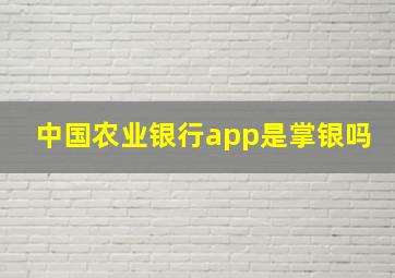 中国农业银行app是掌银吗