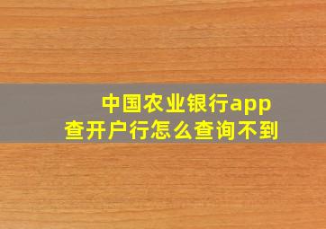 中国农业银行app查开户行怎么查询不到