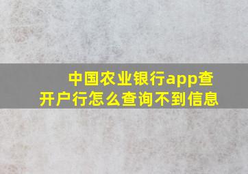 中国农业银行app查开户行怎么查询不到信息