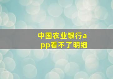 中国农业银行app看不了明细