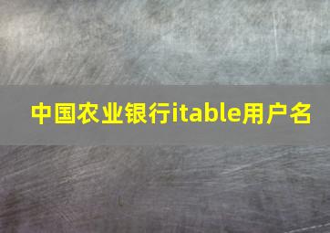 中国农业银行itable用户名