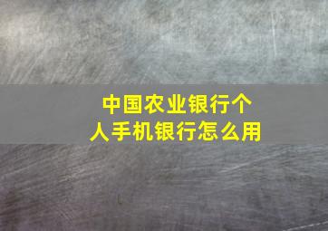 中国农业银行个人手机银行怎么用