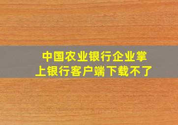 中国农业银行企业掌上银行客户端下载不了