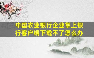 中国农业银行企业掌上银行客户端下载不了怎么办