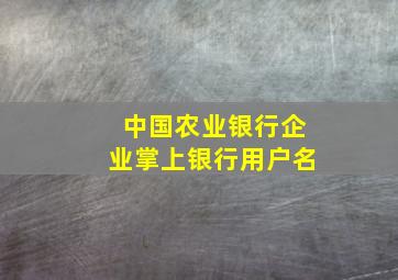 中国农业银行企业掌上银行用户名