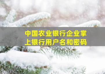 中国农业银行企业掌上银行用户名和密码