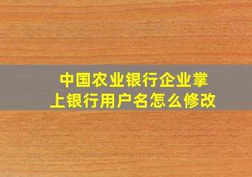 中国农业银行企业掌上银行用户名怎么修改