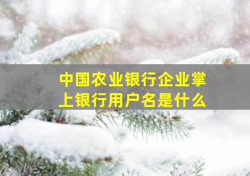 中国农业银行企业掌上银行用户名是什么