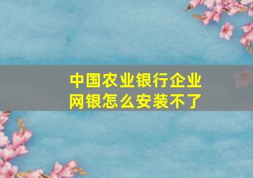 中国农业银行企业网银怎么安装不了