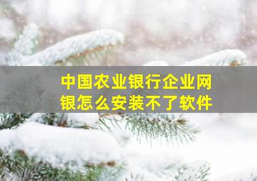 中国农业银行企业网银怎么安装不了软件