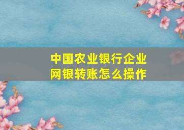 中国农业银行企业网银转账怎么操作