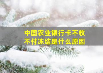 中国农业银行卡不收不付冻结是什么原因