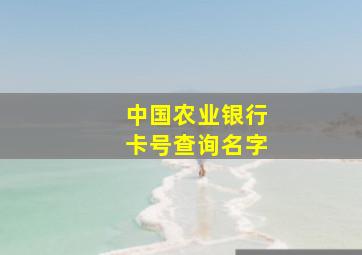 中国农业银行卡号查询名字