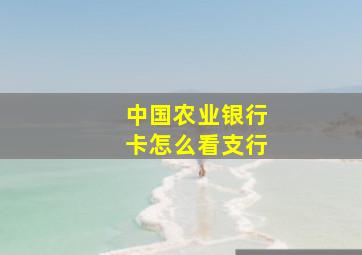 中国农业银行卡怎么看支行