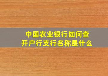 中国农业银行如何查开户行支行名称是什么