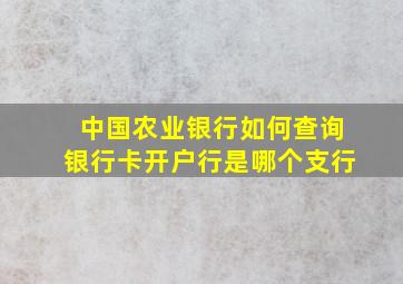 中国农业银行如何查询银行卡开户行是哪个支行