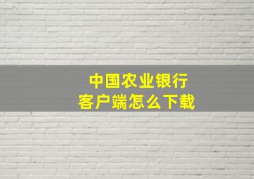 中国农业银行客户端怎么下载