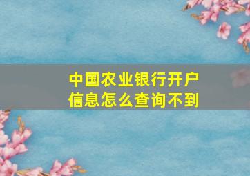 中国农业银行开户信息怎么查询不到