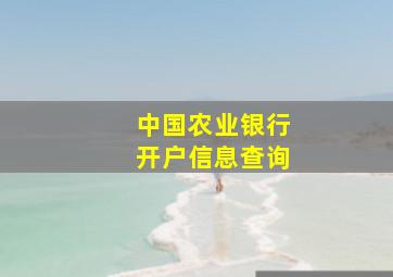 中国农业银行开户信息查询