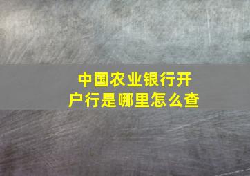 中国农业银行开户行是哪里怎么查