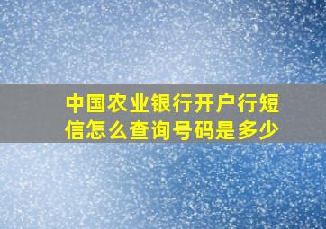 中国农业银行开户行短信怎么查询号码是多少