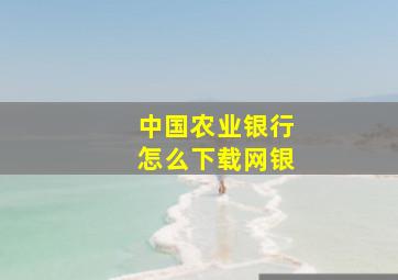 中国农业银行怎么下载网银