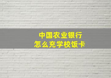 中国农业银行怎么充学校饭卡