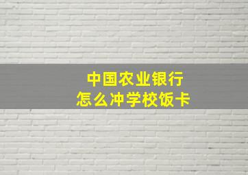 中国农业银行怎么冲学校饭卡