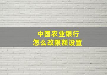 中国农业银行怎么改限额设置