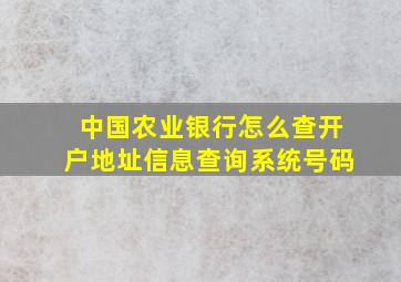 中国农业银行怎么查开户地址信息查询系统号码