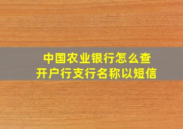 中国农业银行怎么查开户行支行名称以短信