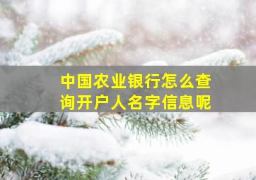 中国农业银行怎么查询开户人名字信息呢