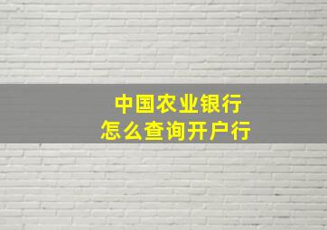 中国农业银行怎么查询开户行