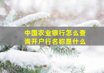 中国农业银行怎么查询开户行名称是什么