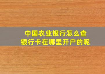 中国农业银行怎么查银行卡在哪里开户的呢