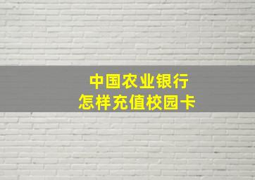 中国农业银行怎样充值校园卡