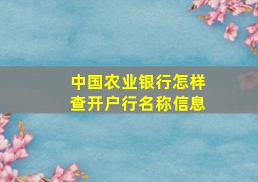 中国农业银行怎样查开户行名称信息