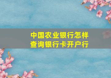 中国农业银行怎样查询银行卡开户行