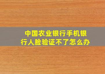 中国农业银行手机银行人脸验证不了怎么办