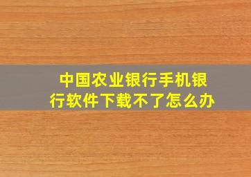 中国农业银行手机银行软件下载不了怎么办