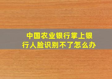 中国农业银行掌上银行人脸识别不了怎么办