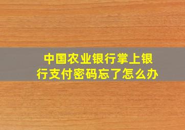 中国农业银行掌上银行支付密码忘了怎么办