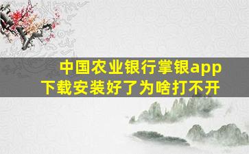 中国农业银行掌银app下载安装好了为啥打不开