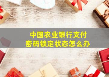 中国农业银行支付密码锁定状态怎么办