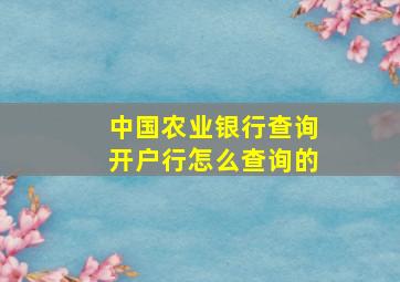 中国农业银行查询开户行怎么查询的